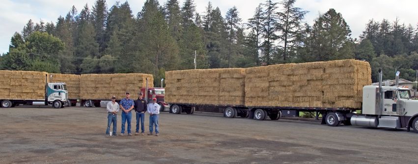 Straw bales delivered up winding roads
